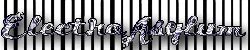 ElectroAsylum